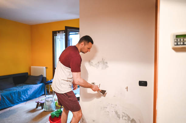 Best Mold Remediation  in Minot Af, ND